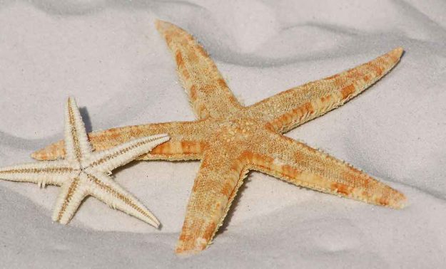 Inglés para el verano