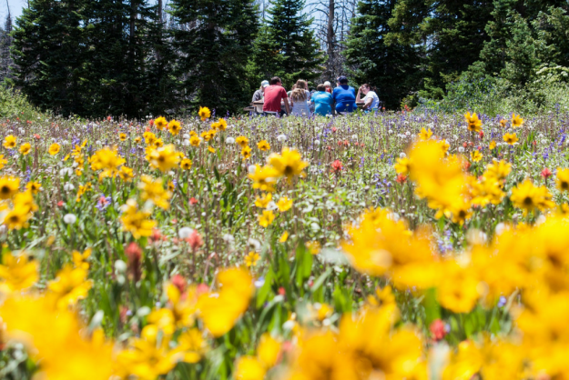 blog aire libre ingles para realizar actividades al aire libre