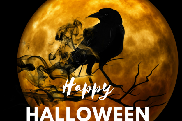 fiesta halloween