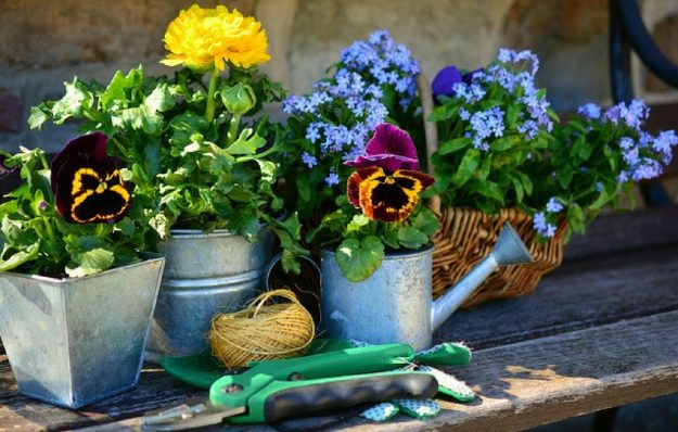 vocabulario_en_ingles_sobre_jardineria verbos en inglés y vocabulario en inglés para amantes de la jardinería