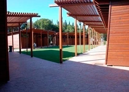 Inglés y diversión en entorno natural en Las Rozas Madrid