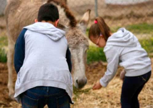 Inglés y animales en entorno natural en la Granja del Ayer