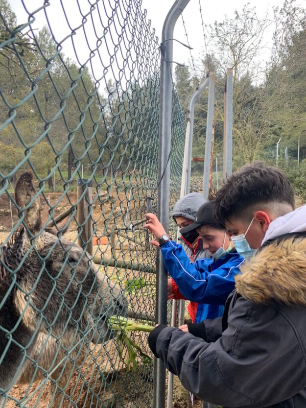 WhatsApp Image 2022-04-04 at 18.30.37 (1)